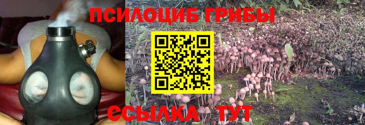 Алексин  Псилоцибиновые грибы Magic Shrooms  Вход с VPN 