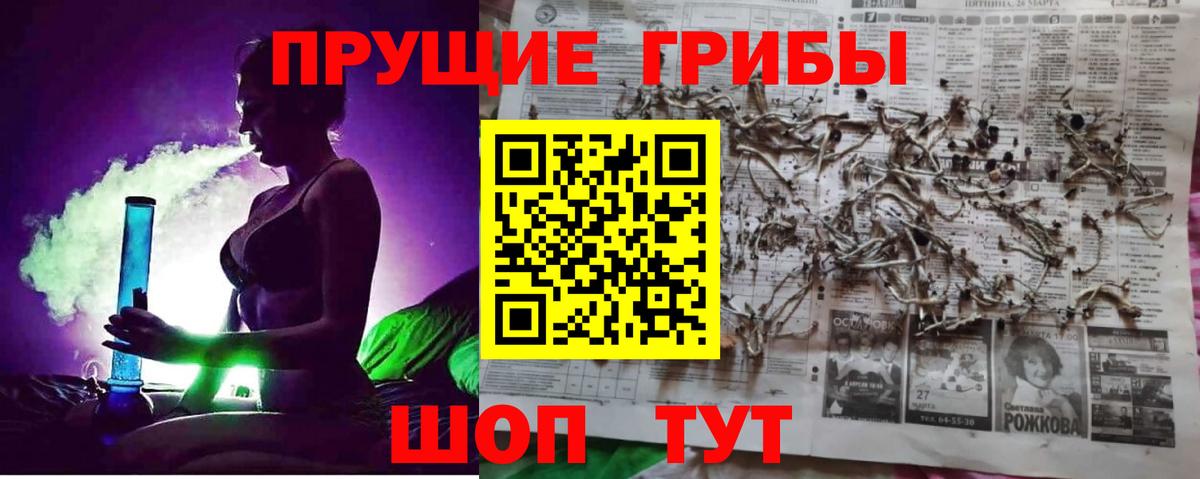 Псилоцибиновые грибы MAGIC MUSHROOMS Алексин